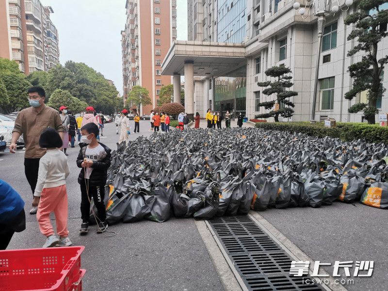 780份蔬菜包送到了湘林小區(qū)院內。長沙晚報實習生 羅楊 攝